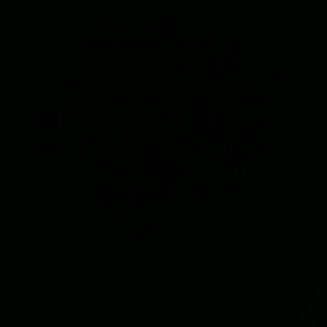 Meet your Posher, Alan